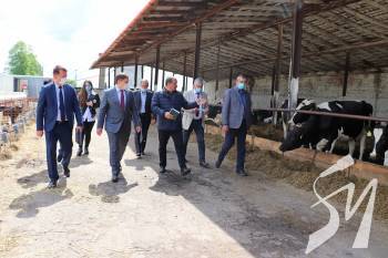 ������ ��� ����� ����������: �������� ������������ � �� ���������� �����������